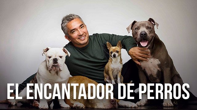 Cuatro en directo Cuatro en directo