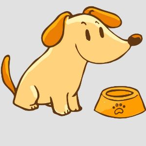 Consejos perros - Cuatro