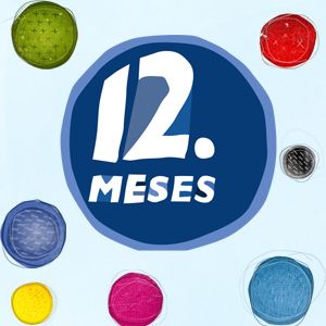 12 Meses