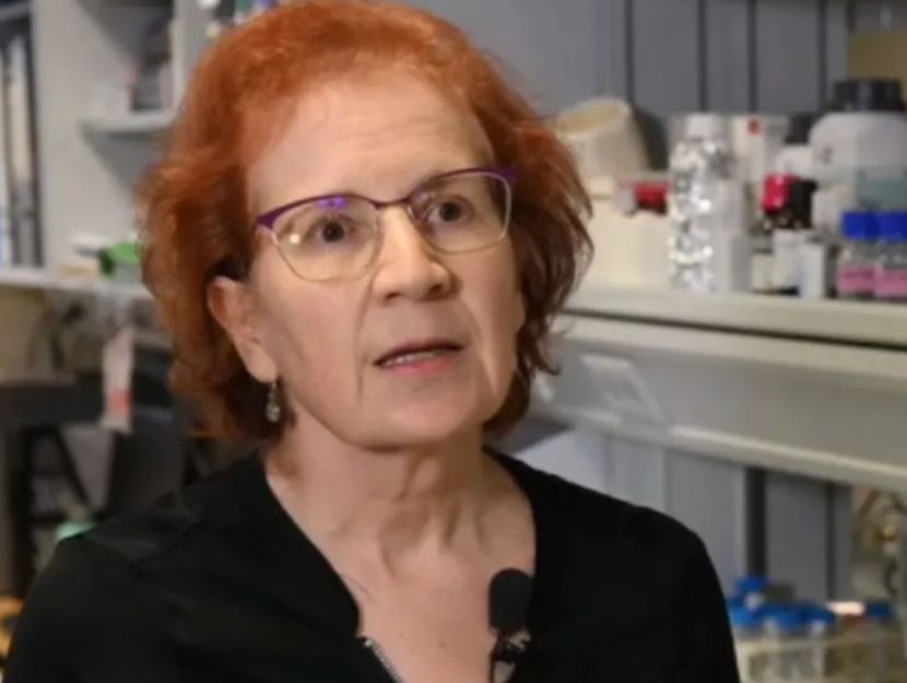 Margarita del Val - Telecinco