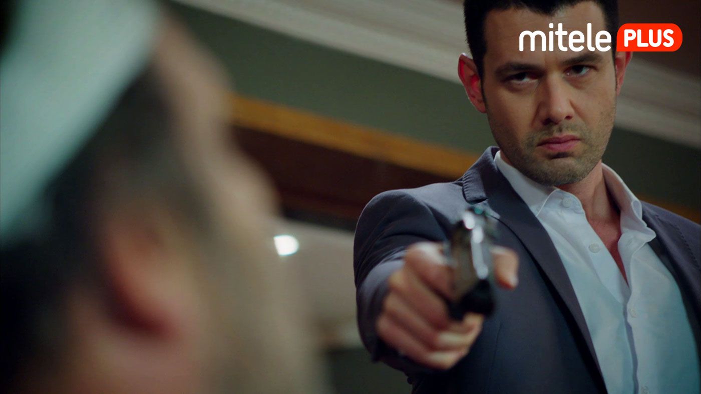merobomivida_266PLUS.jpg