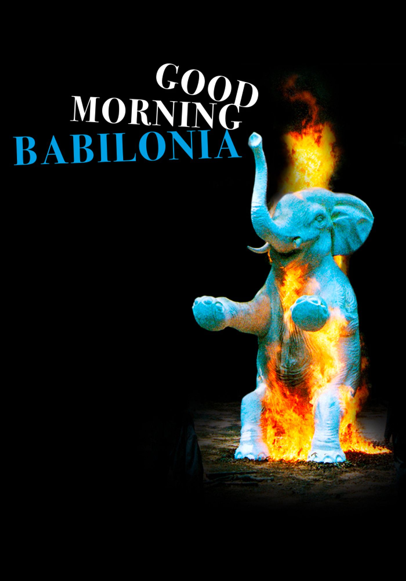Good morning Babilonia