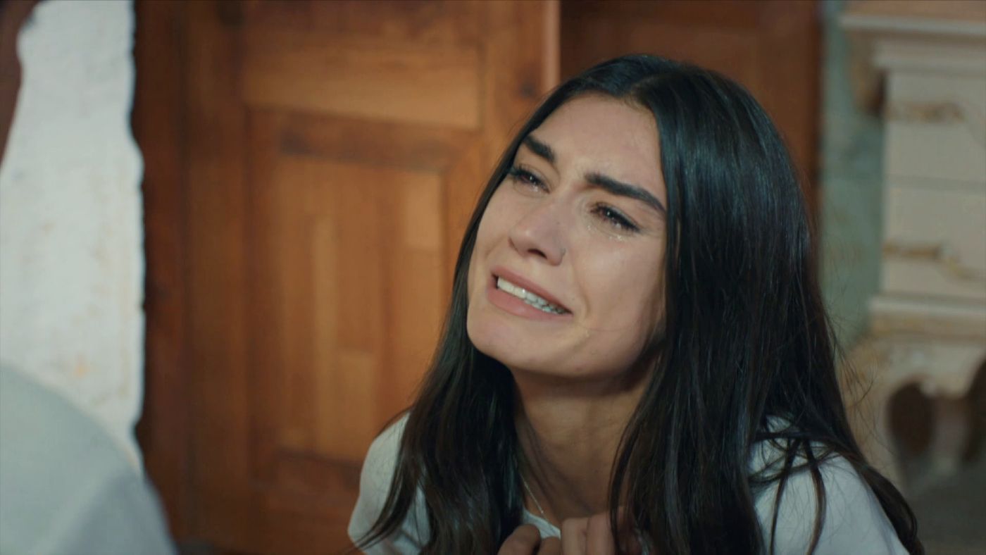 Entreelamoryelodio 112