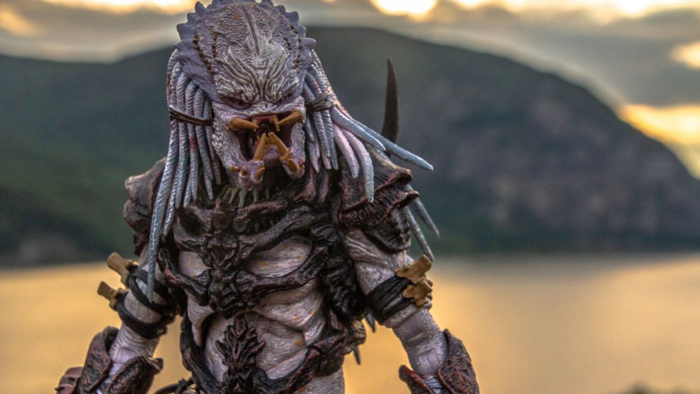 MAD BRUCE: 'DEPREDADOR ALPHA'