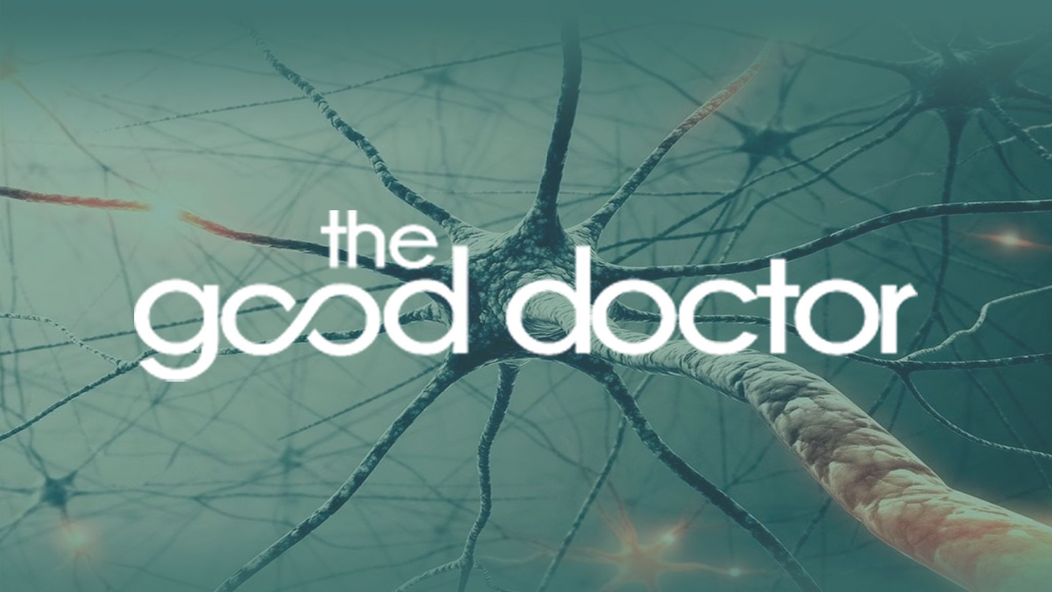 THE GOOD DOCTOR