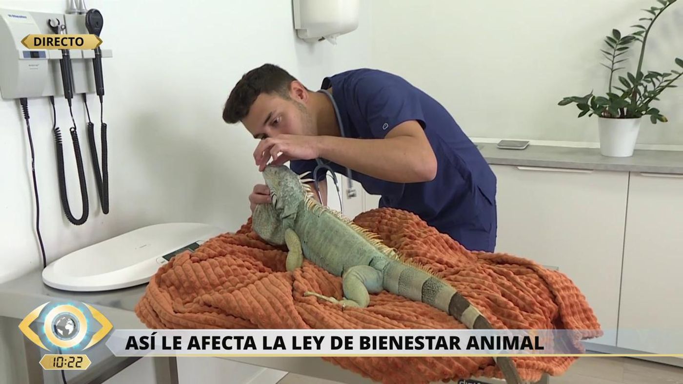 2023 09 29 0822 REC Telecinco REC.ts.0x0.152637816089700