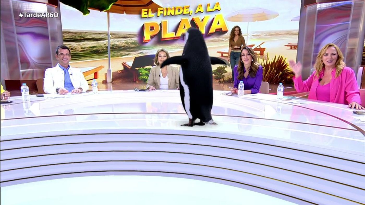 2023 10 06 1607 REC Telecinco REC.ts.0x0.152694761246100