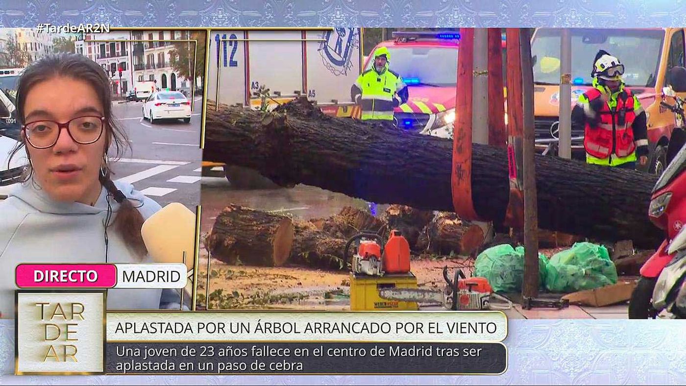 testigoarbol
