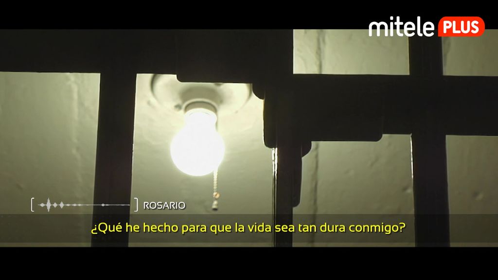 expertos topvideos6PLUS