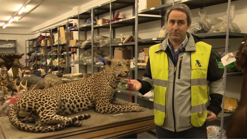 Así es el 'almacén de los horrores': animales exóticos incautados que pueden llegar a costar 100.000 euros el kilo