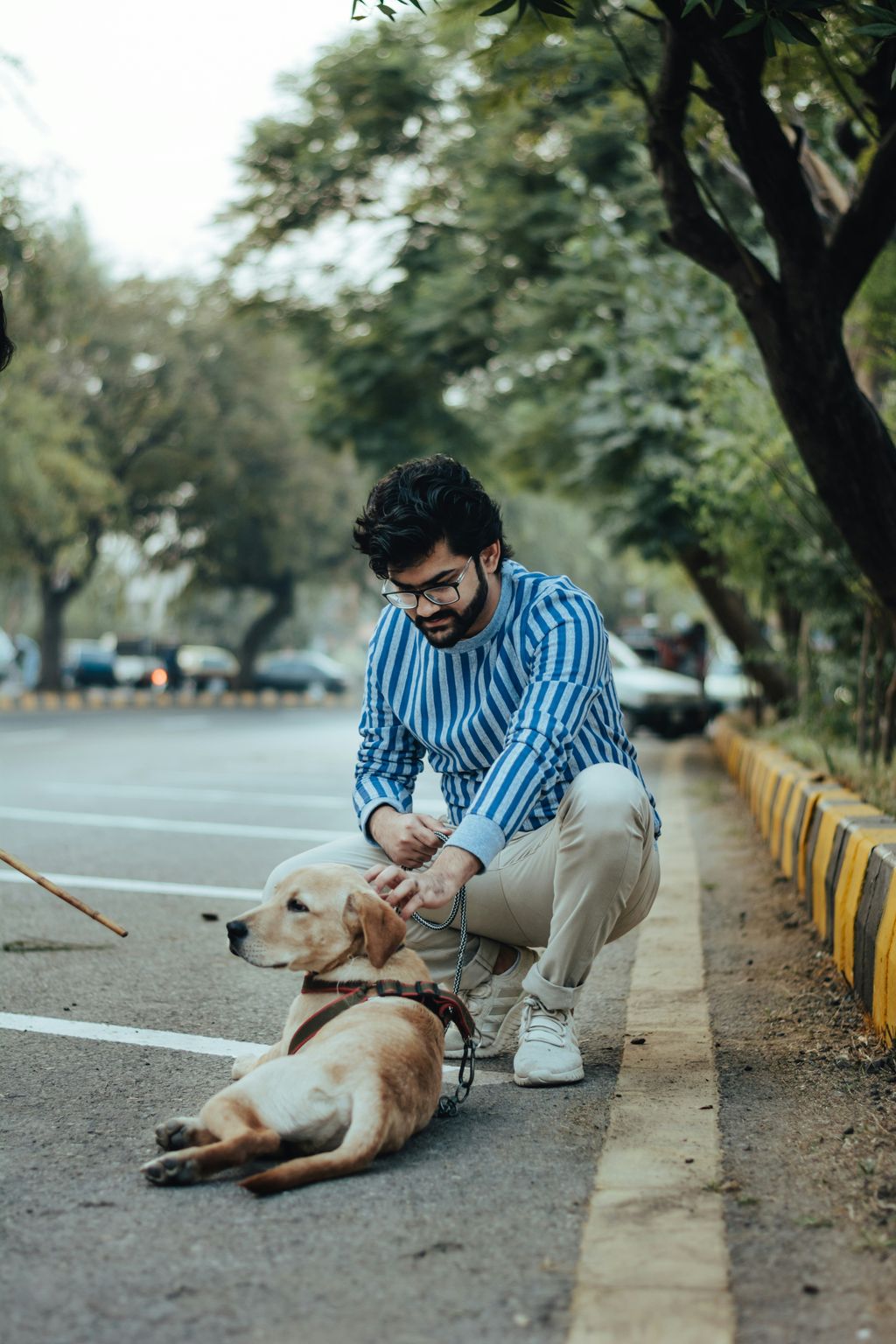 Chico, jugando con su perro