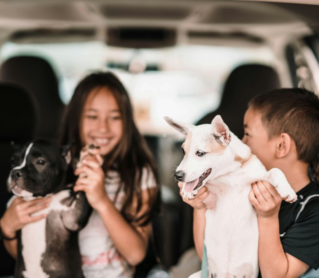 Niños jugando con perros