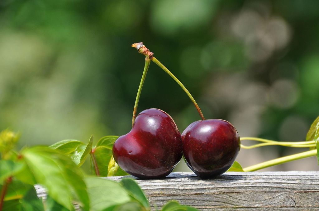 Cerezas