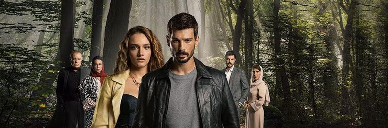 Amar sin límites Amar sin límites