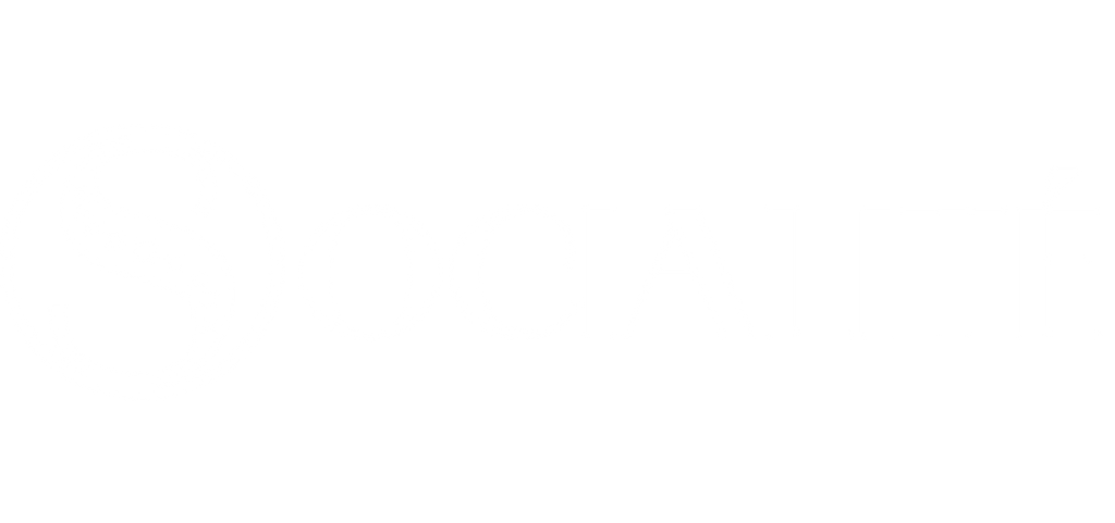 Socialité