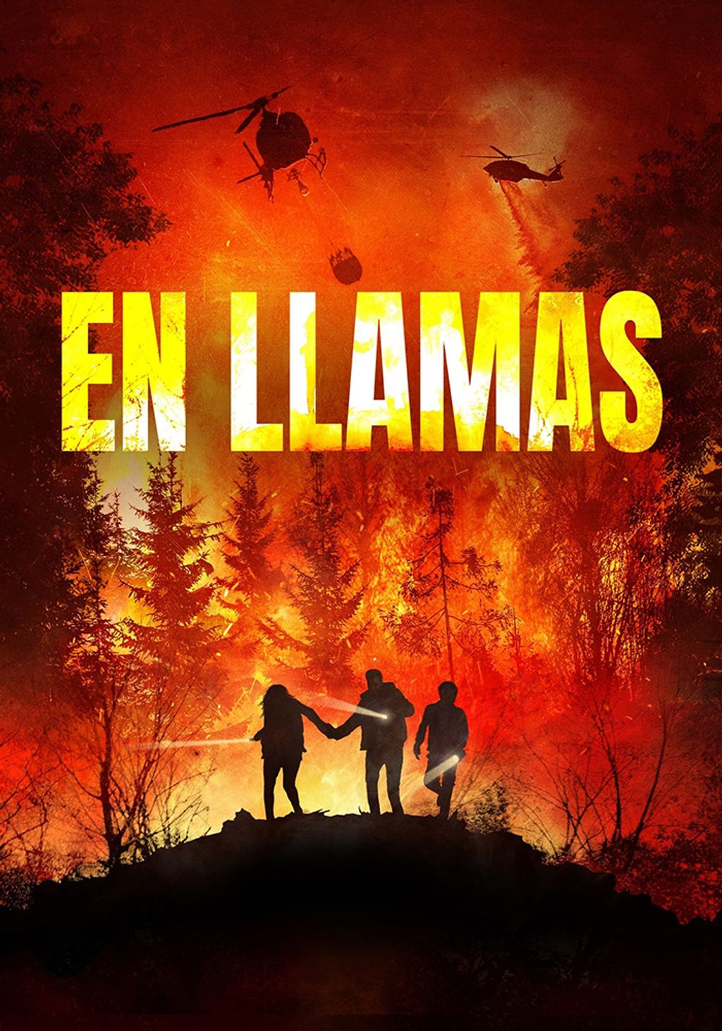 enllamas posterOK