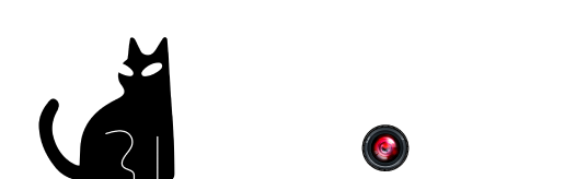 Logo de El Gato encerrado