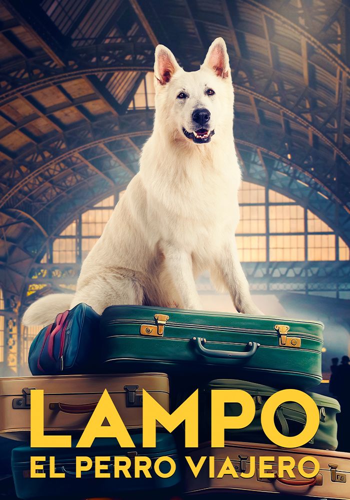 lampo el perro viajero 700x1000 MITELE