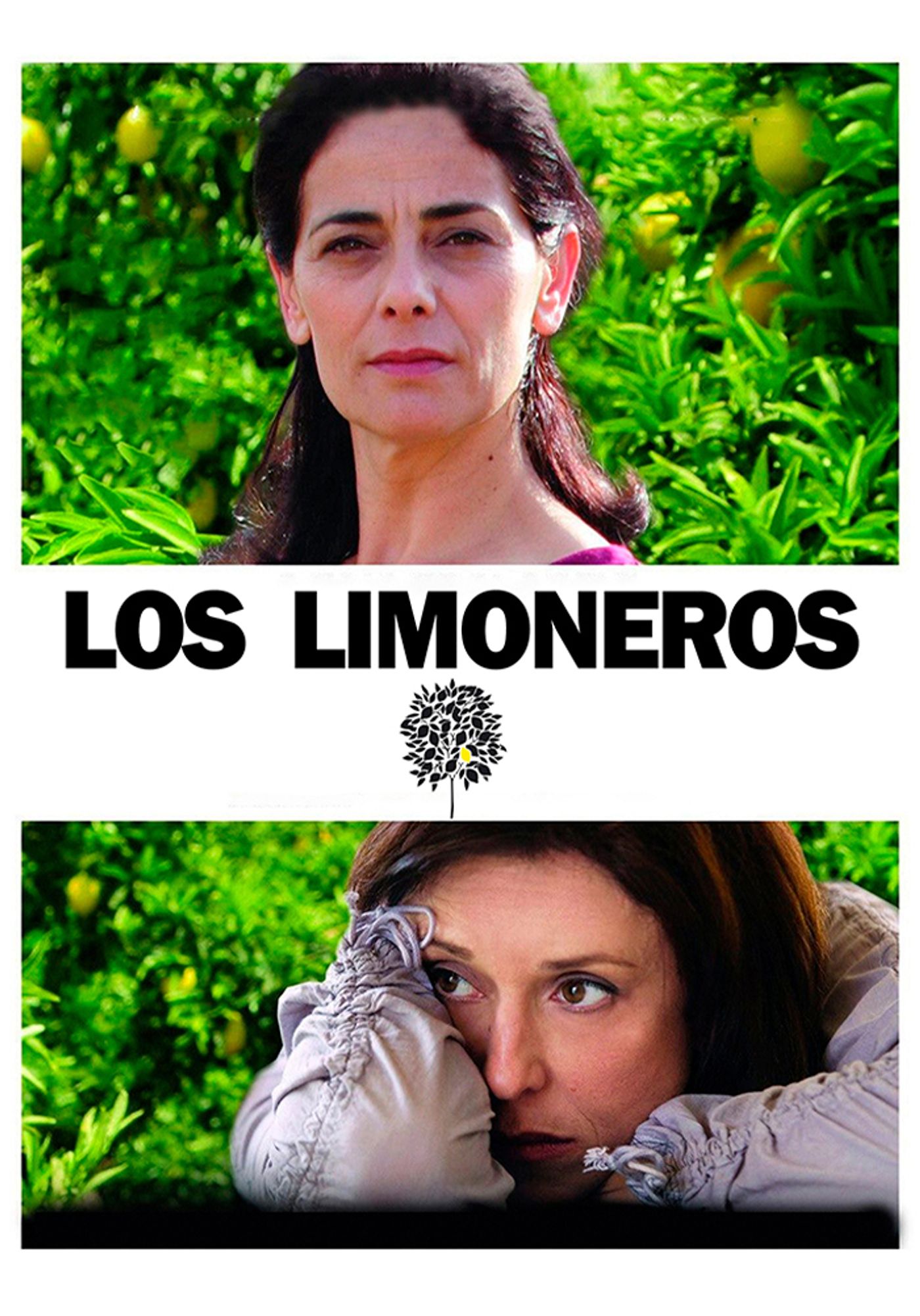 Los limoneros