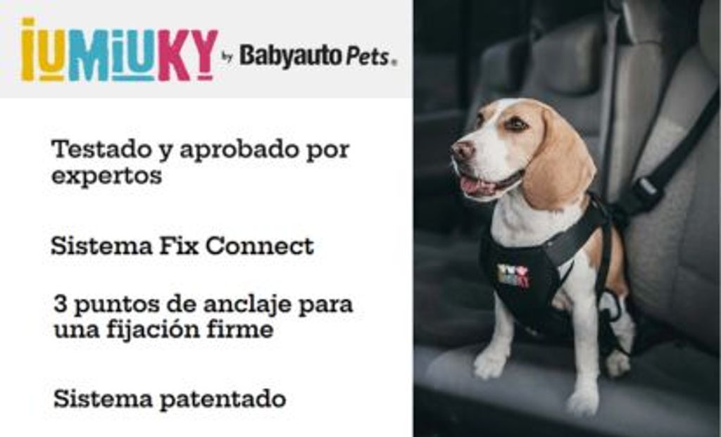 ARNES PERRO COCHE IUMIUKY