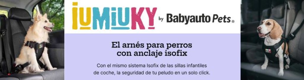 ARNES PERRO COCHE IUMIUKY
