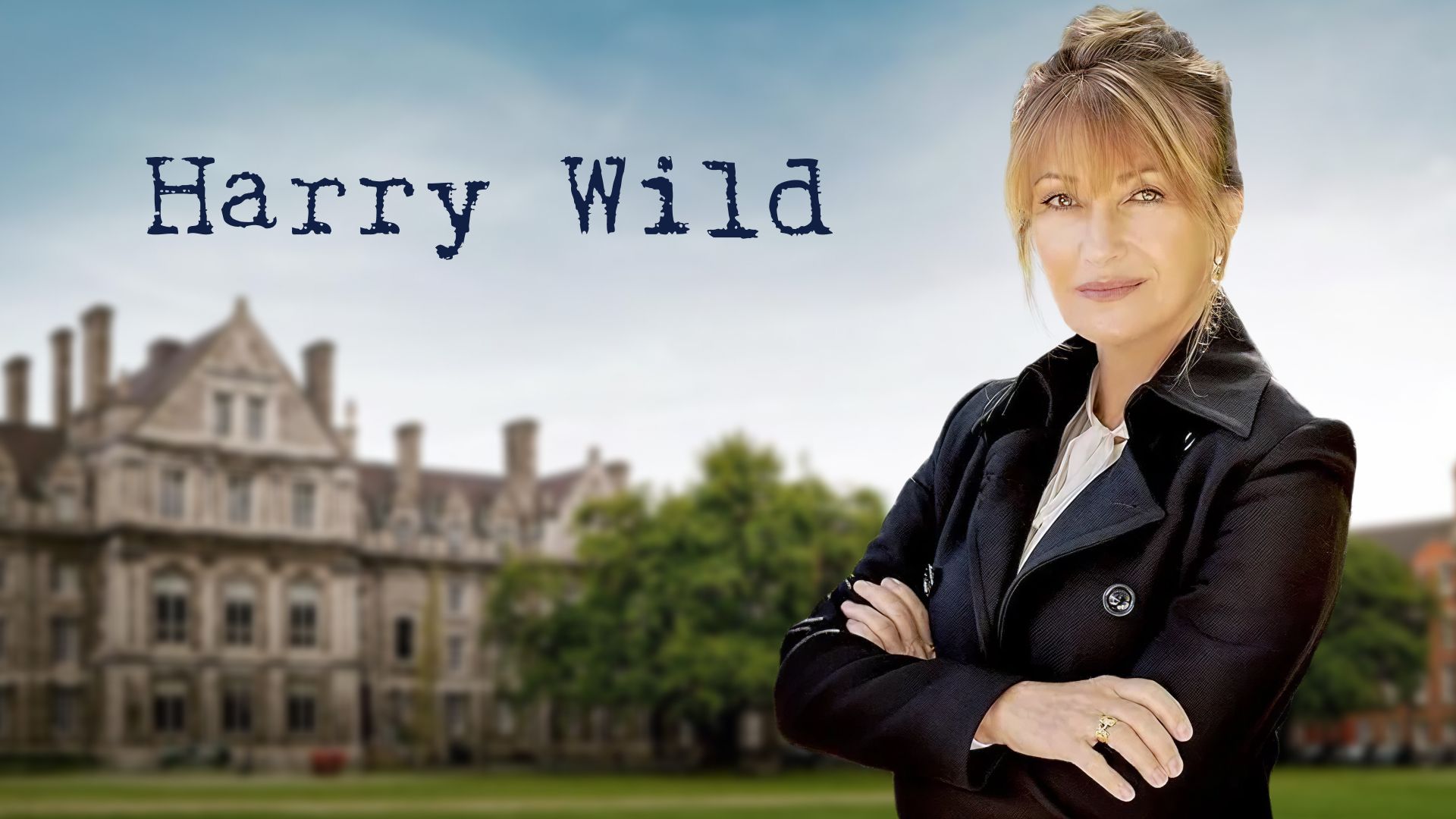 HARRY WILD (ESTRENO T3) HARRY WILD (ESTRENO T3)