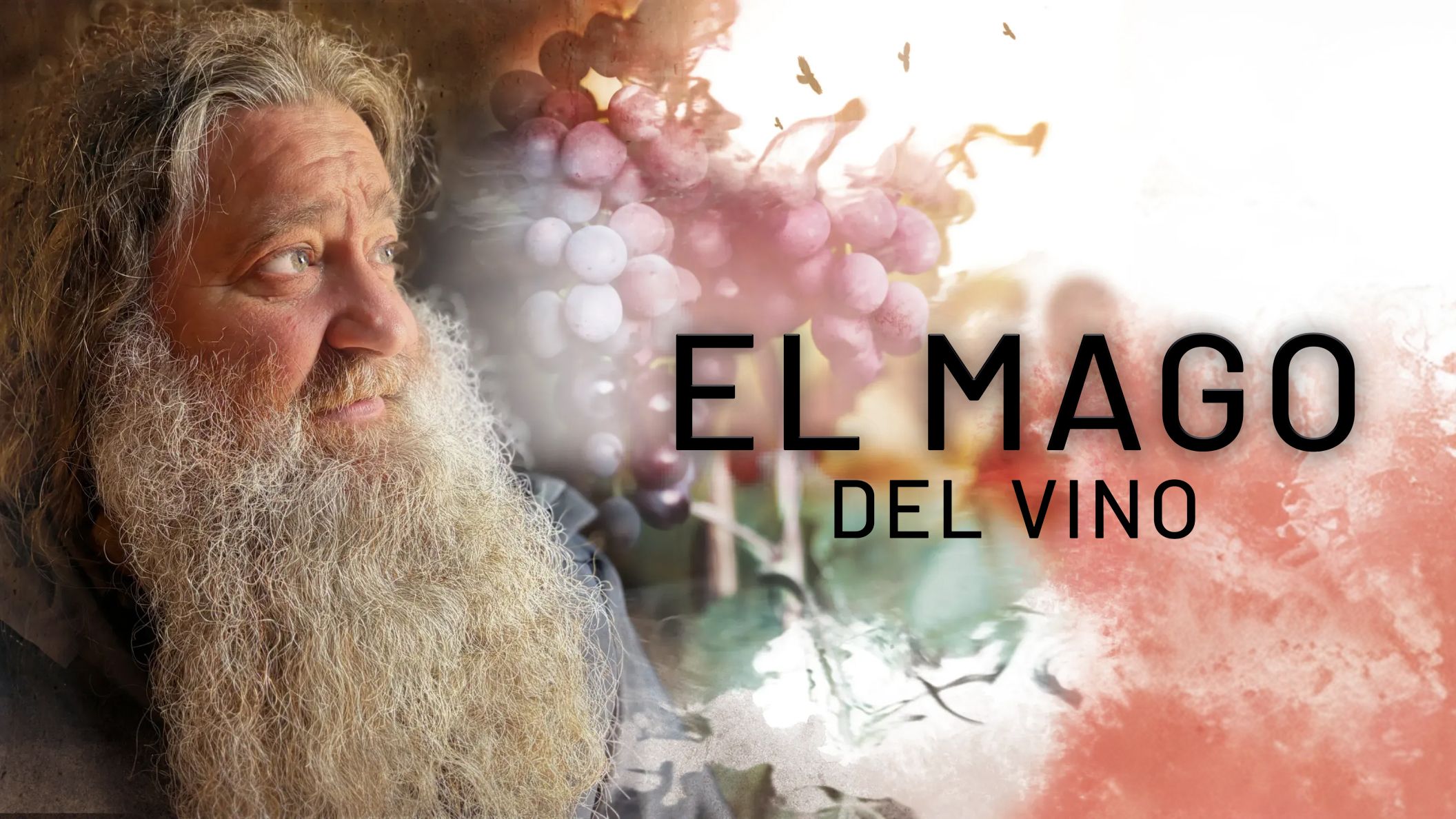 EL MAGO DEL VINO (ESTRENO)