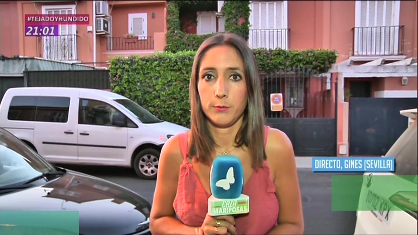 4rhy6auuviqx_Cazamariposas2_290819.jpg