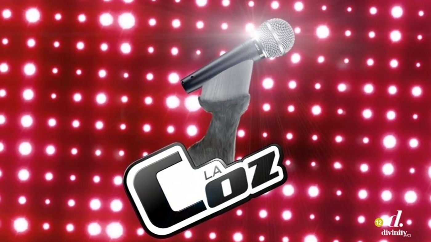 6smxz1fk5p9r_Cazamariposas_547_dam.jpg
