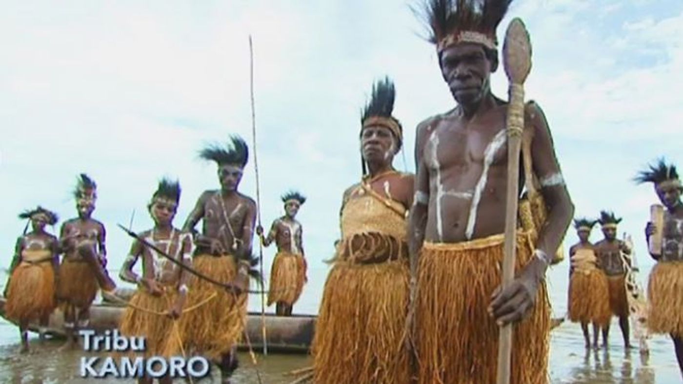 Perdidos En La Tribu Ver Online