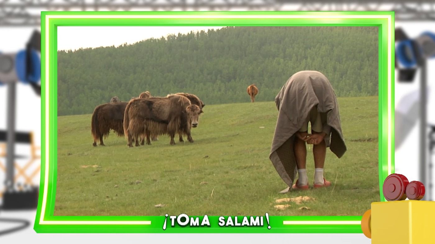 ksub2b4prnon_tomasalami_28.jpg