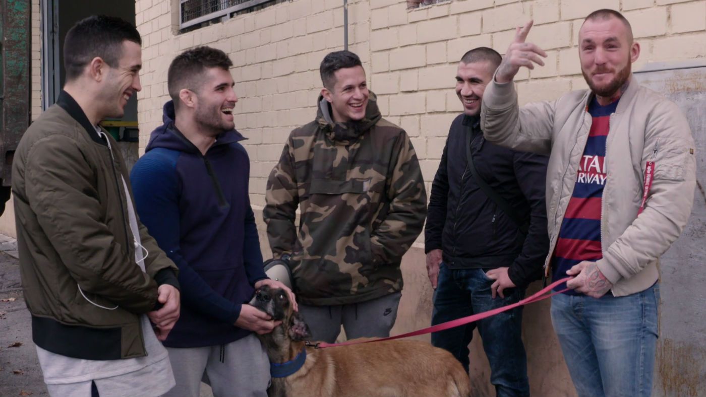 muz2f6nvbzlk_acaradeperro_5.jpg