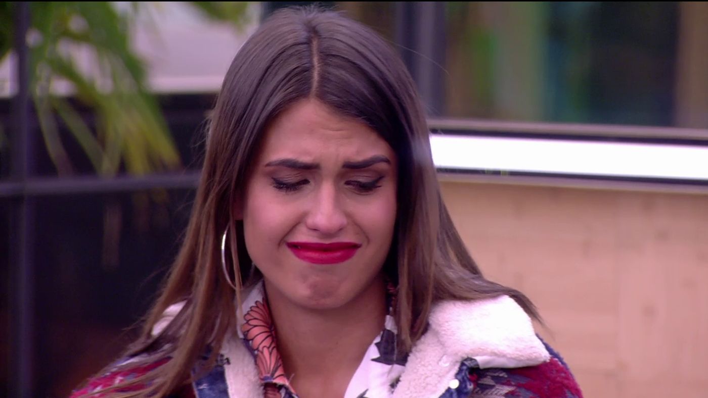 xok8gjuoybix_cazamariposas_primeraedicion_100.jpg