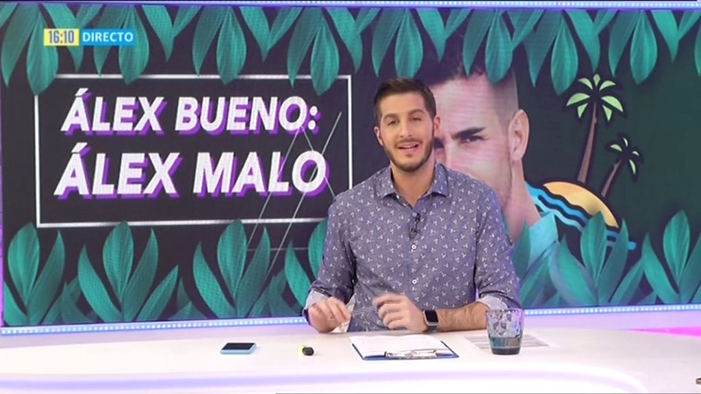 Cazamariposas Mitele