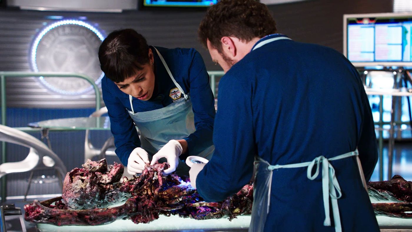 bones211