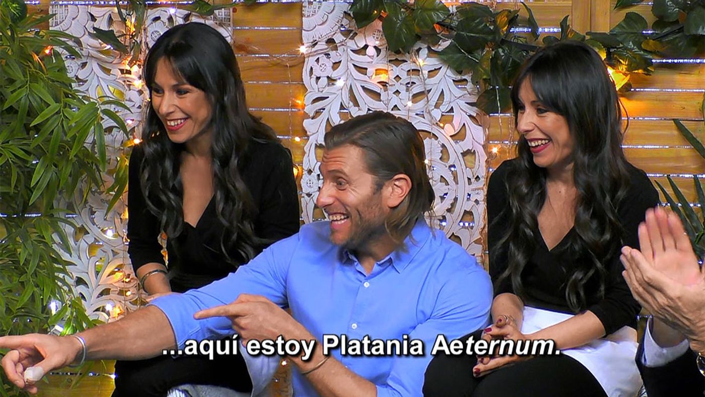 plataniafirstdates