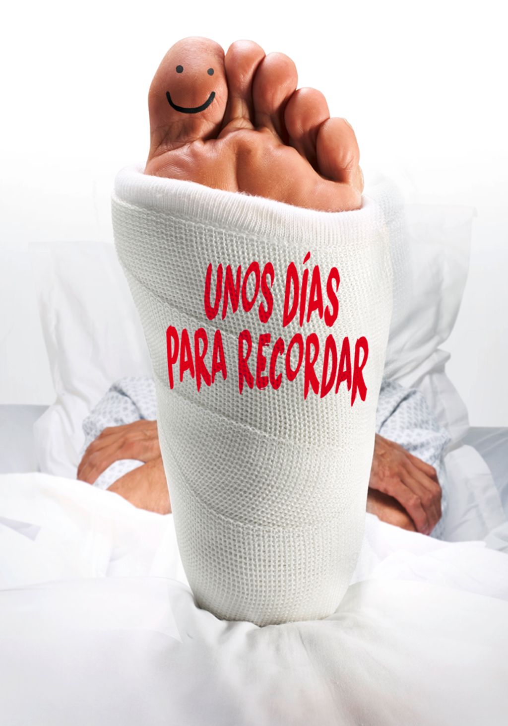 UnosDiasParaRecordar_MITELE-PLUS_700x1000