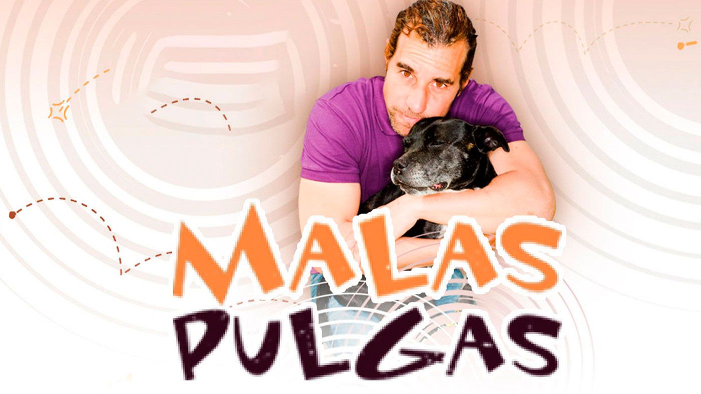 i3aucuzhkea thumbnail-malas-pulgas