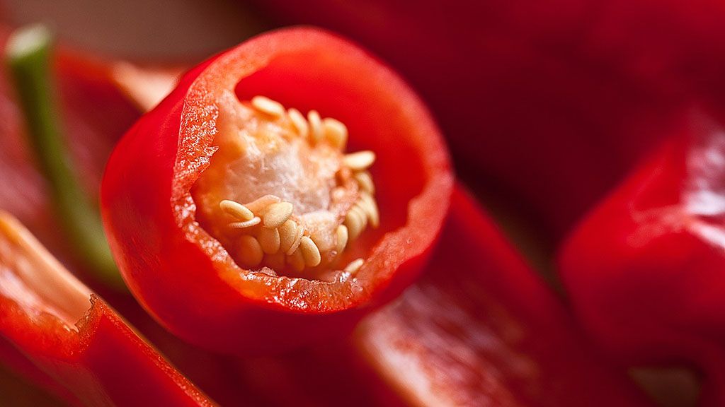pimiento