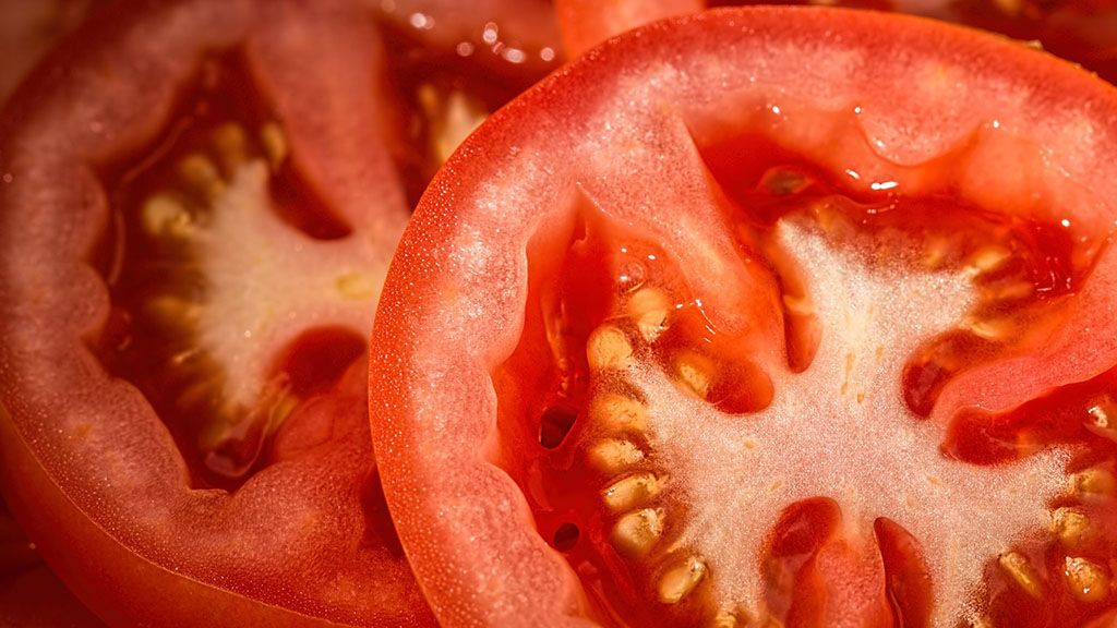 tomate
