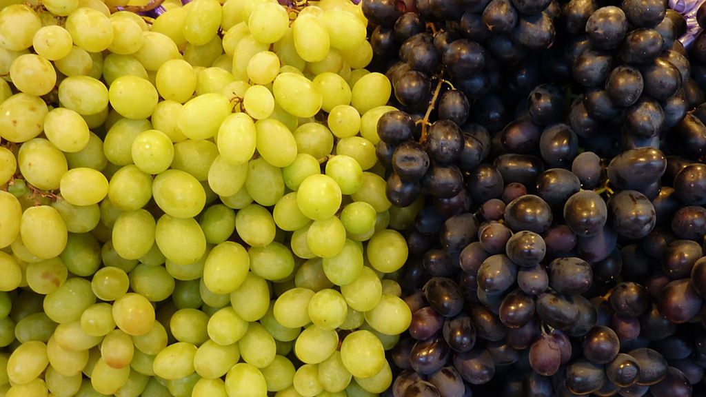 grapes-2680902_1280
