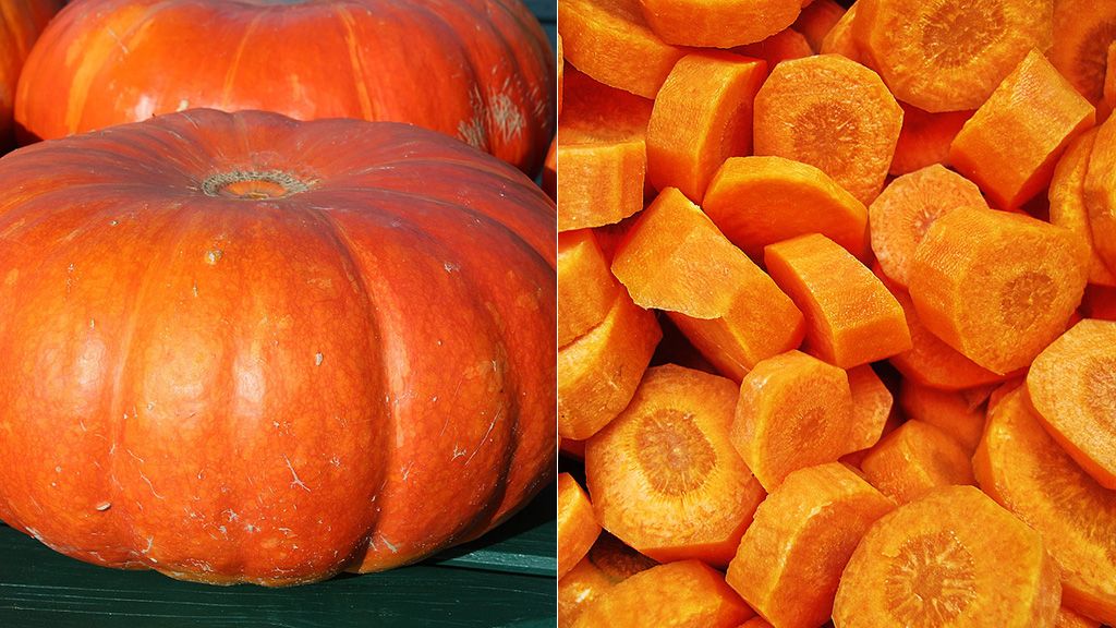 calabaza y zanahoria