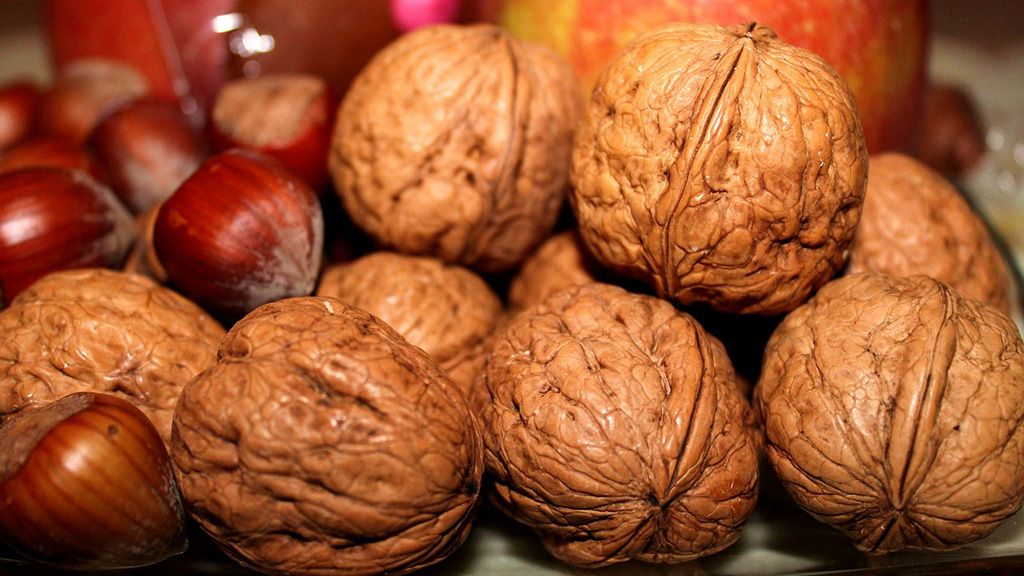 frutos secos