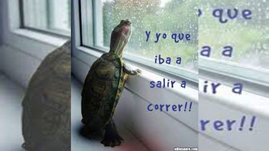 llover llover