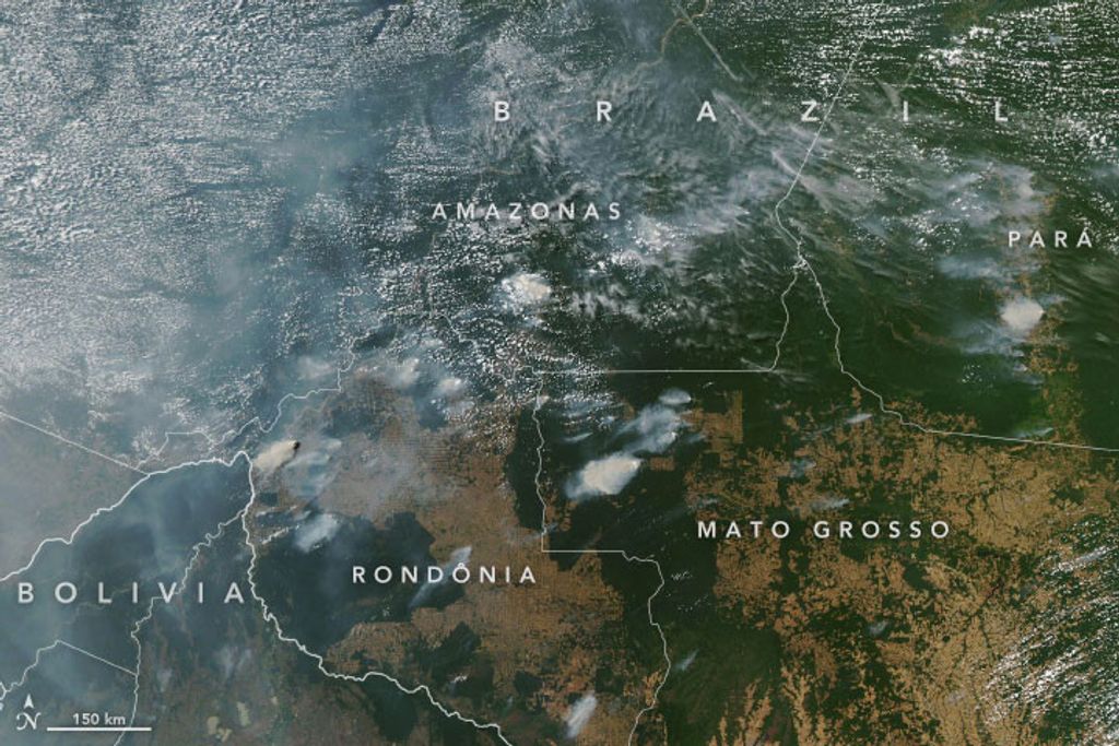 IMAGEN POR SATéLITE DE LOS INCENDIOS DE LA AMAZONíA