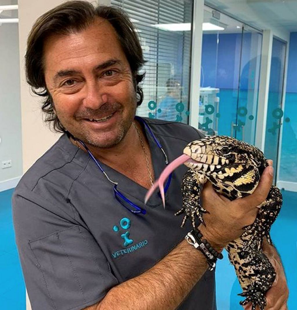 FOTO1 Fernando Pérez- veterinario-