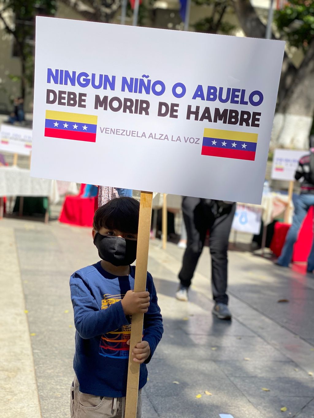 Consulta popular en Venezuela