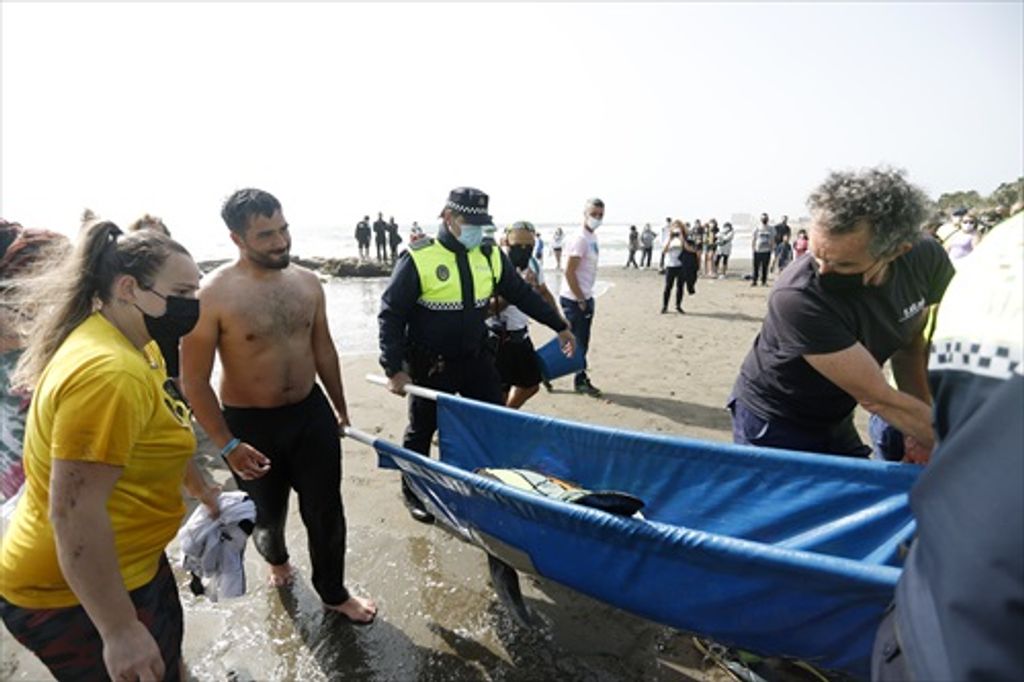 Los técnicos del Centro de recuperación de Especies Marinas Amenazadas se llevan al delfín
