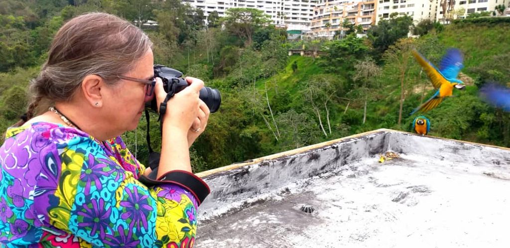 Mabel Cornago,retratista de las guacamayas