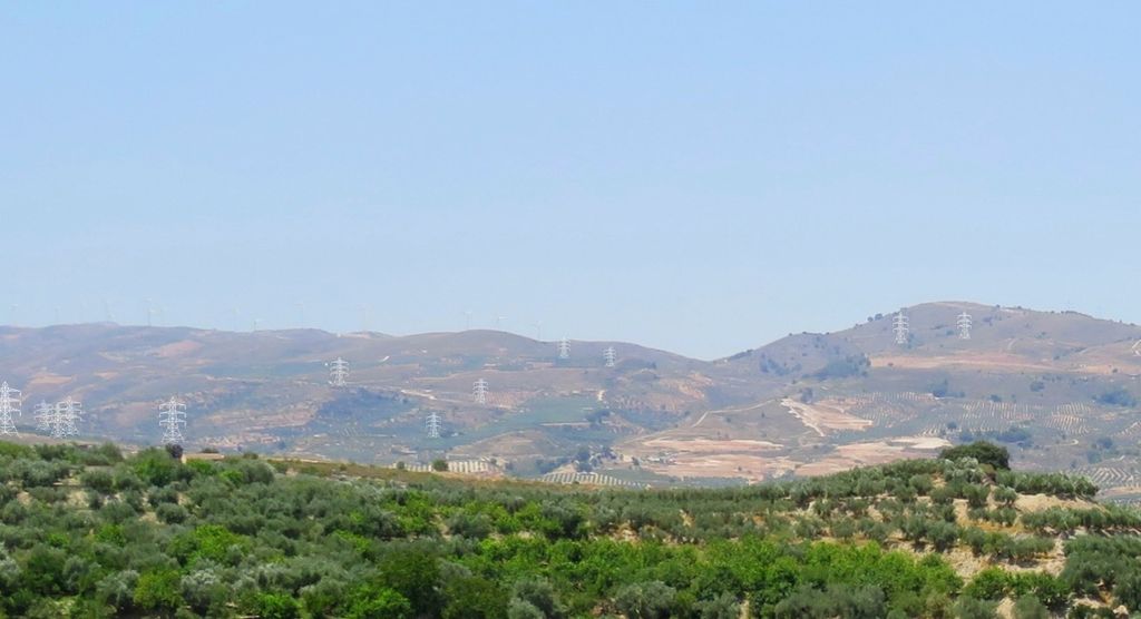 Pinos Carretera